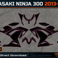 KAWASAKI NINJA 300 2013-2024