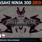 KAWASAKI NINJA 300 2013-2026