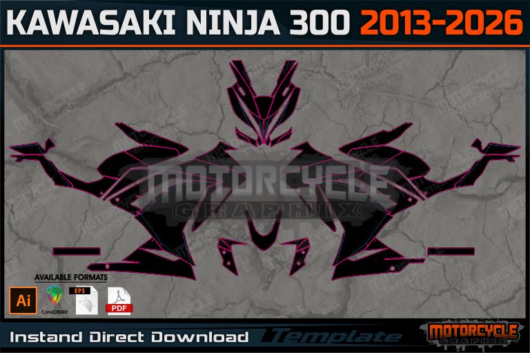 KAWASAKI NINJA 300 2013-2026