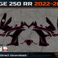 VOGE 250 RR 2022-2025